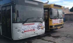 عیدانه شهرداری تربت جام برای مادران و بانوان