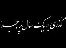 گذری بر یک سال پر ماجرا