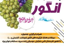 جشنواره انگور ارومیه؛ نمایش سنت، شادی و ظرفیت‌های کشاورزی در دهکده چیست؟