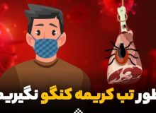مثبت شدن تست ۲ نفربه تب کریمه کنگو  در تربت جام