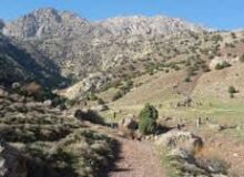 آغاز به کار اولین سمن محیط زیستی تربت جام