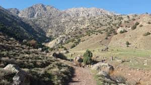 آغاز به کار اولین سمن محیط زیستی تربت جام