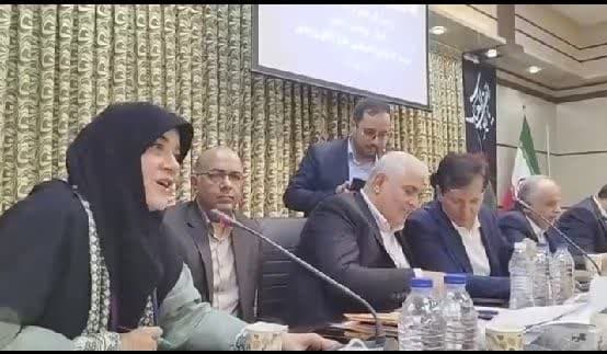 سی میلیارد تومان تسهیلات برای حمایت از مشاغل خانگی در چهار شهرستان تربت‌جام، تایباد، باخرز و صالح‌آباد