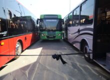 ورود پنج دستگاه اتوبوس جدید به ناوگان حمل و نقل