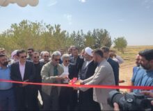 افتتاح دو طرح بزرگ نیروگاه خورشیدی و پروژه آبی در تربت جام با حضور استاندار خراسان رضوی