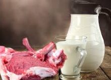 کسب رتبه اول نیشابور در استان در بخش تولید شیر و گوشت قرمز