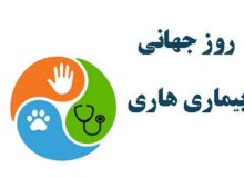 شناسایی یک درصد از حیوان‌گزیدگی سال ۱۴۰۳ کشور در نیشابور؛ بدون مورد هاری انسانی