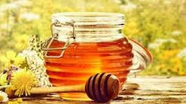 تولید بیش از ۱۵۰ تن عسل در نیشابور
