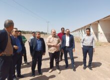 ساماندهی مشاغل مزاحم و آلاینده شهری