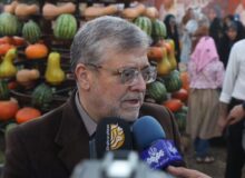 ایجاد نشاط و حال خوب برای شهروندان در باغ مشهد