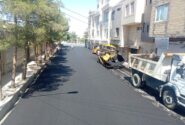 خیابان‌ها در تربت‌جام جان تازه گرفتند