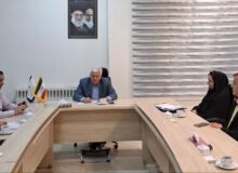 فرماندار فیروزه: سنگ فیروزه به‌عنوان نماد ملی جایگاه اصلی خود را ندارد