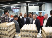 بازدید سرزده استاندار خراسان رضوی از بازار گوشت، مرغ و برنج در میدان استقلال مشهد