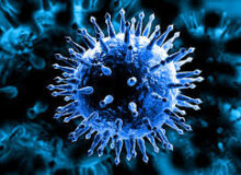 ‍ عبور آمار بیماری های حاد تنفسی در نیشابور از آستانه هشدار بالا