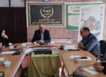 حفاظت از خاک، سرمایه‌ای حیاتی برای کشاورزی