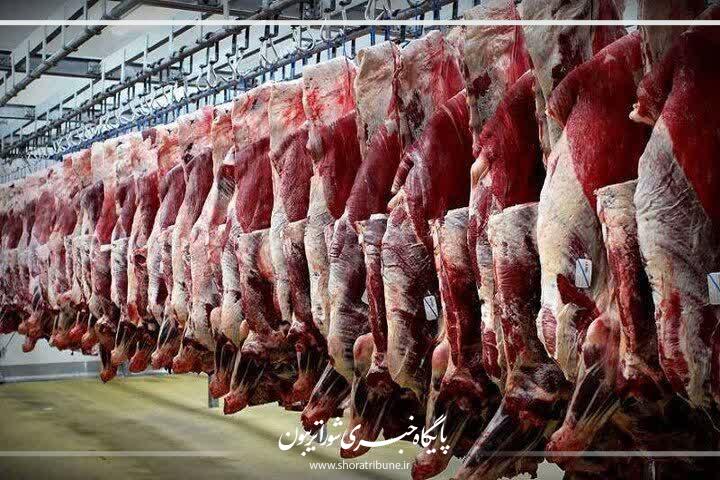 خبر خوش تنظیم بازاری در فیروزه