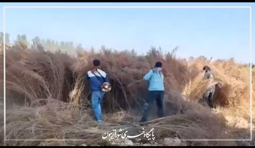 خودکفایی شهرداری تربتجام در تولید جارو