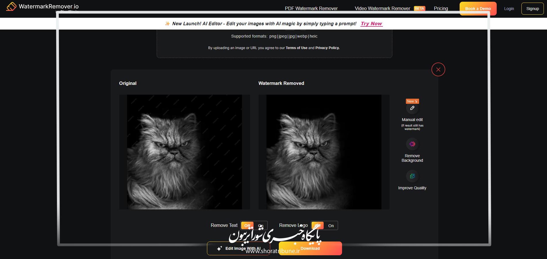 موافقت مجلس با تعویق ۶ ماهه موعد برگزاری انتخابات شوراهای شهر و روستا ... نمایندگان در جلسه علنی امروز مجلس شورای اسلامی، در جریان بررسی اصلاح موادی از قانون ... freepik
