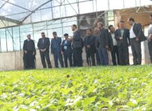 مجتمع های کشاورزی؛ الگویی مناسب در زنجیره های تولید