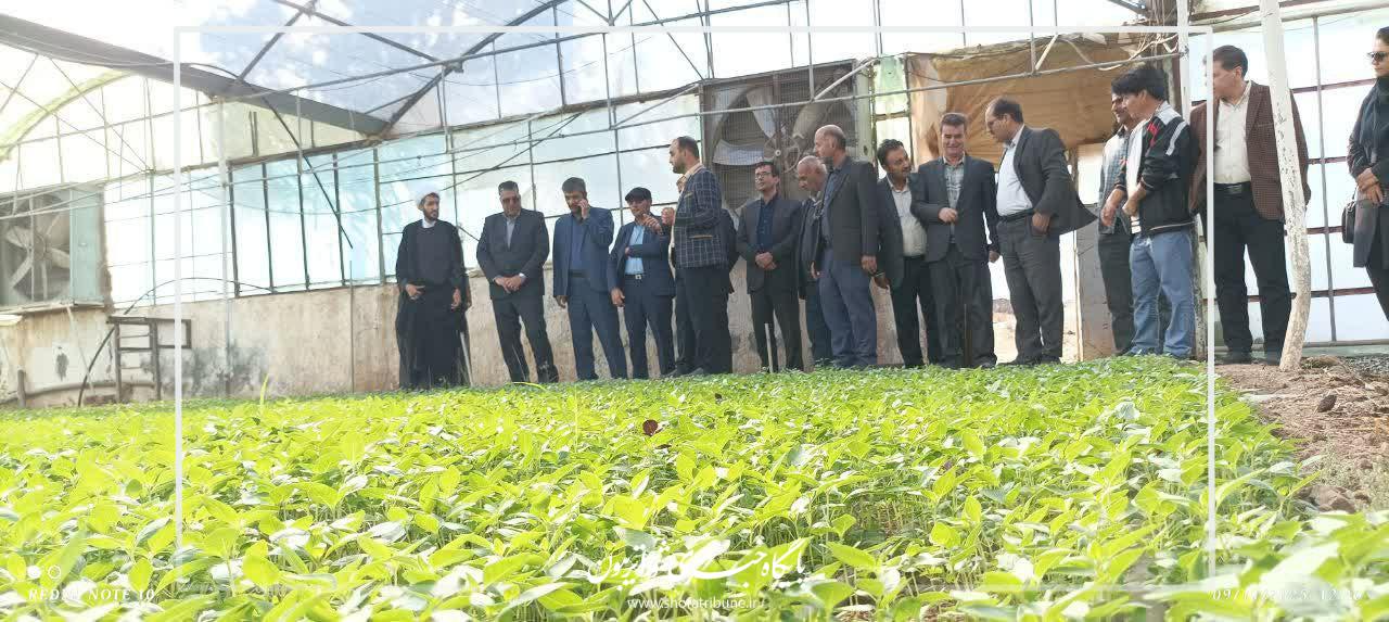 مجتمع های کشاورزی؛ الگویی مناسب در زنجیره های تولید