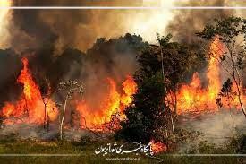عامل آتش‌سوزی جنگل‌های هیرکانی در بابل شناسایی و دستگیر شد