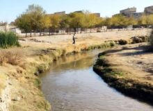 هشدار نماینده مشهد و کلات درباره بحران کشف‌رود