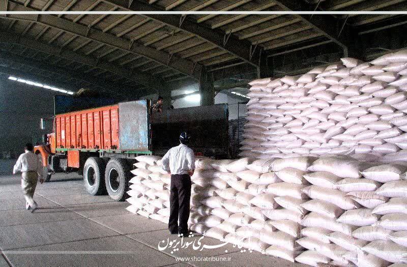 توزیع بیش از ۳ هزار تن کود شیمیایی در فیروزه