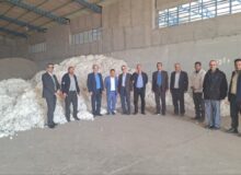 تسویه یارانه بذور غلات و پنبه شرکت های تولید کننده بذر خراسان رضوی