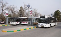 طرح سرویس‌دهی «مادران آسمانی» در مشهد به مقصد آرامستان بهشت رضا(ع)