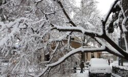 اخطار هواشناسی: برف سنگین در خراسانها و البرز؛ باران و باد در نیمه غربی