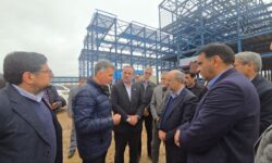 بازدید معاون وزیر صمت از بزرگترین پروژه صنعتی جنوب خراسان رضوی